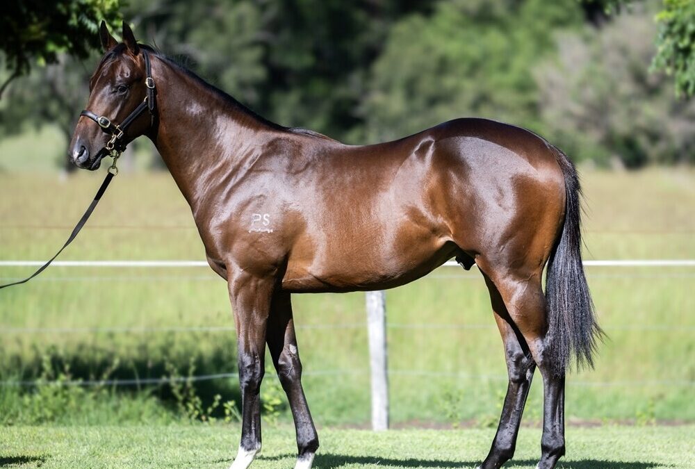 Un-named (Spirit Of Boom – Lamarche)