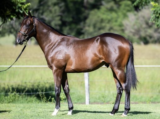 Un-named (Spirit Of Boom - Lamarche)